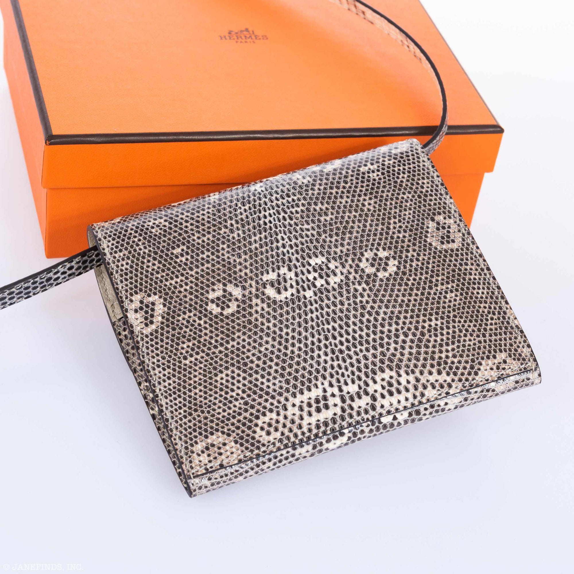 Hermès Cinhetic Mini Clutch On Strap Ombre Lizard Palladium Hardware