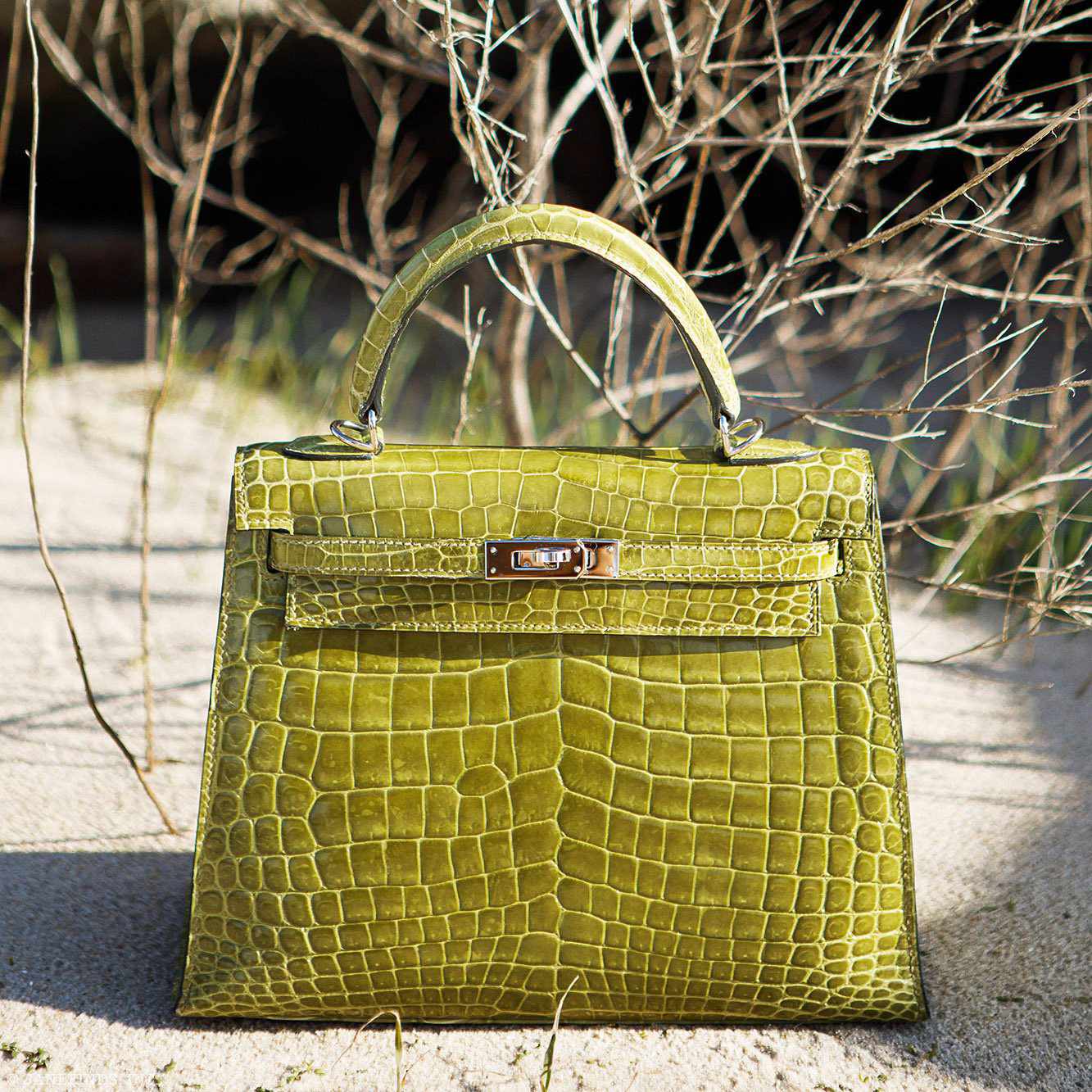 Hermès Kelly 25 Sellier Vert Anis Shiny Niloticus Crocodile Palladium Hardware