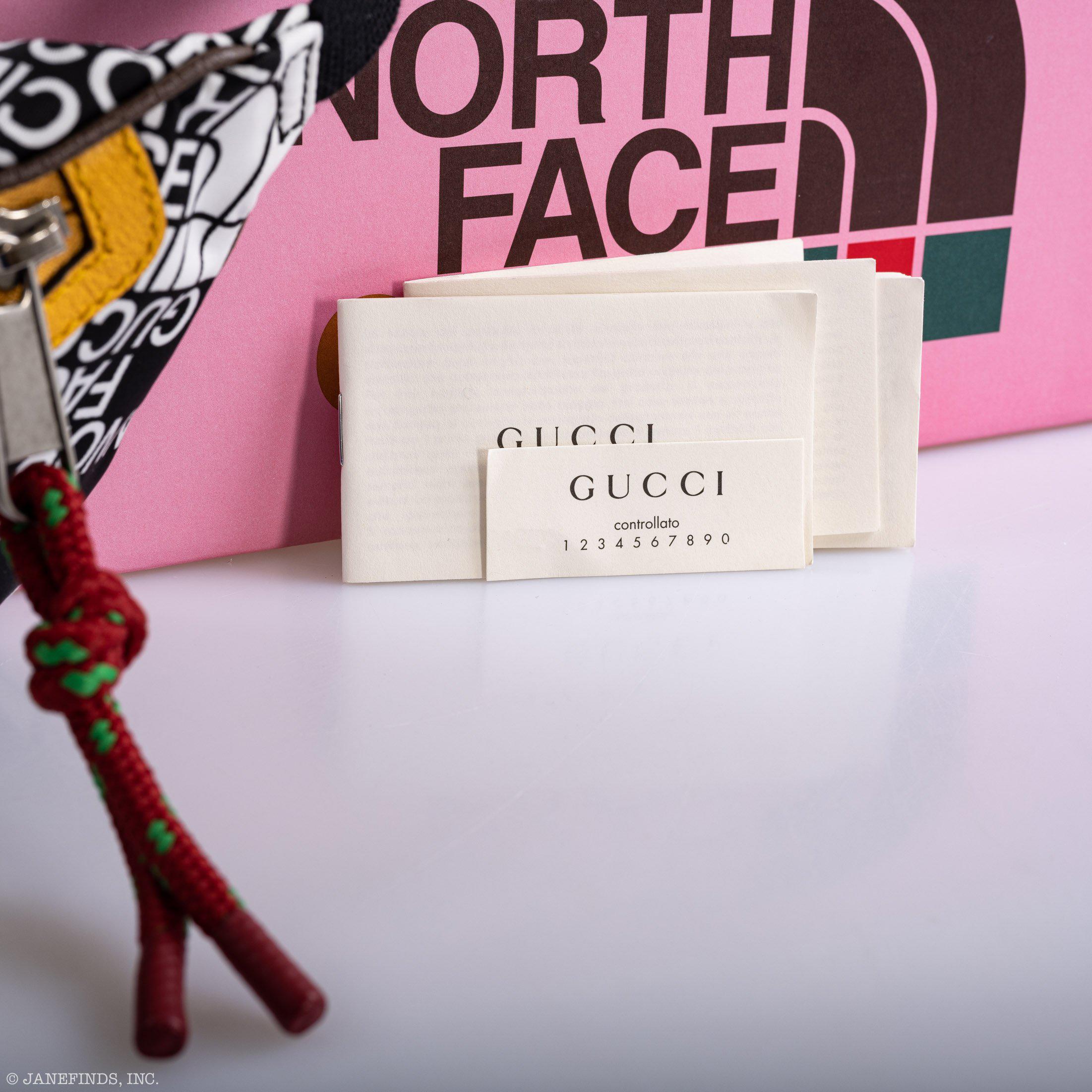 The North Face x Gucci Belt Bag